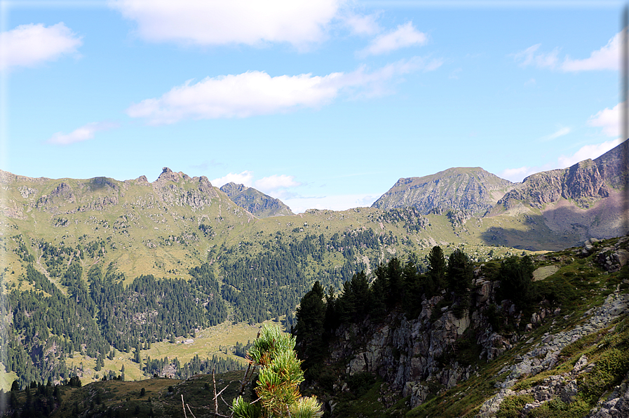 foto Forcella Pala del Becco